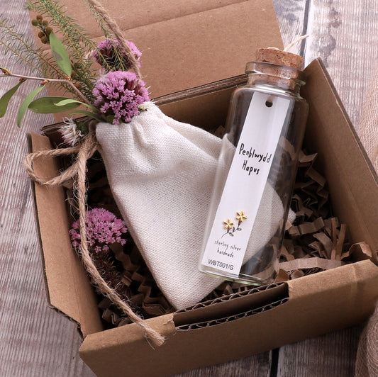 WBT001 Earrings In A Message Bottle 'Penblwydd Hapus'Happy Birthday
