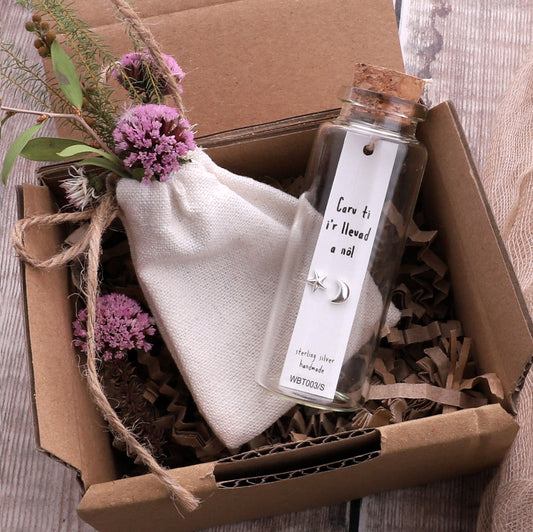 WBT003 Earrings In A Message Bottle 'Caru Ti i'r Lleuad A Nôl'