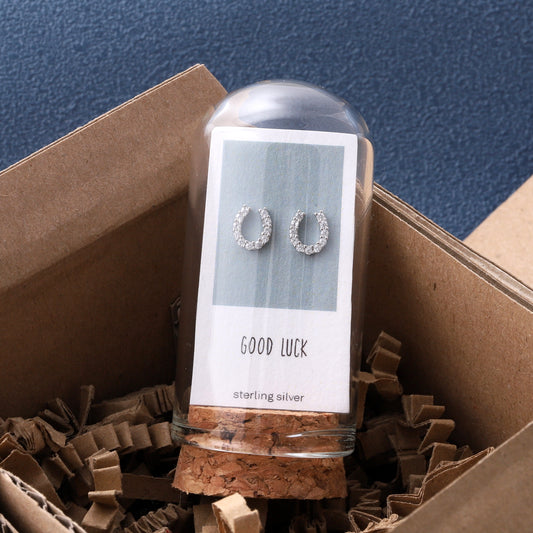 TT61061  'GOOD LUCK' Crystal horseshoe Earrings