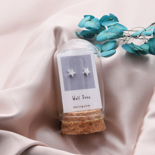 TT50011 /TT50012/TT50013 Well done mini star earrings