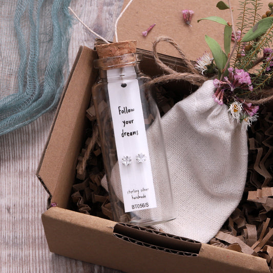 BT056 Message Bottle 'Follow Your Dreams' Star Earrings