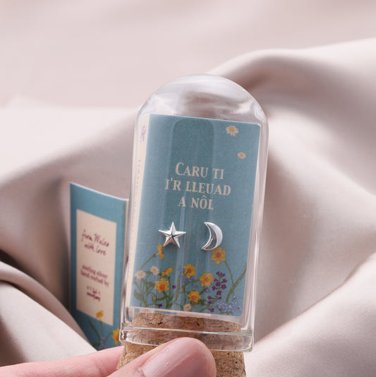 W60025/26 'Caru ti i'r lleuad a nôl' Moon and Back Earrings
