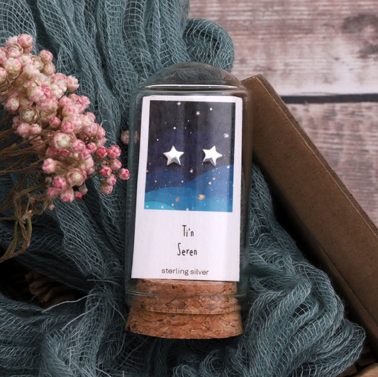 W60027 'Ti'n Seren' Mini Star Earrings Silver