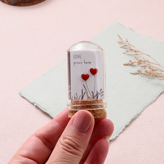 TT51015 Love grows here red heart earrings