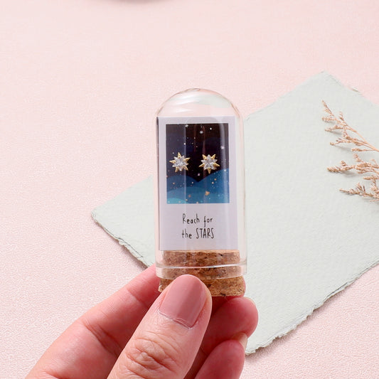 TT60060 'Reach for the Stars' sparkle crystal stars earrings in a bottle